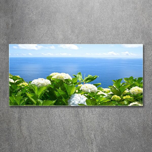 Quadro vetro acrilico Fiori in riva al mare