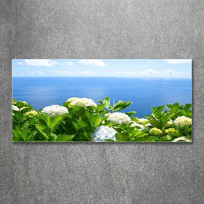 Quadro vetro acrilico Fiori in riva al mare