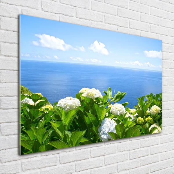 Quadro vetro acrilico Fiori in riva al mare