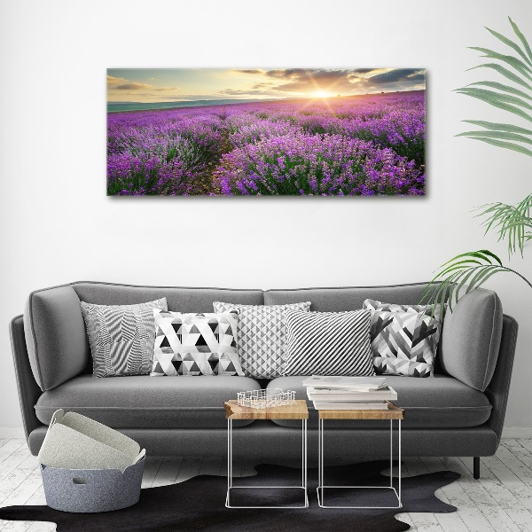 Quadro vetro acrilico Campo di lavanda