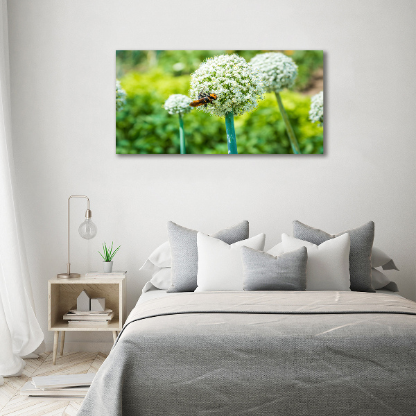 Quadro su vetro acrilico Uva in fiore