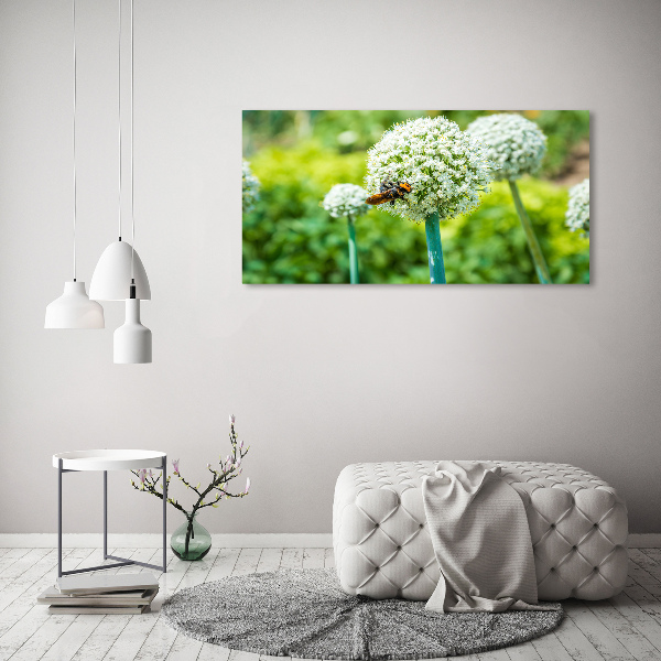 Quadro su vetro acrilico Uva in fiore