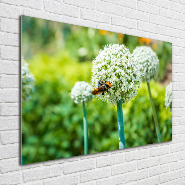 Quadro su vetro acrilico Uva in fiore