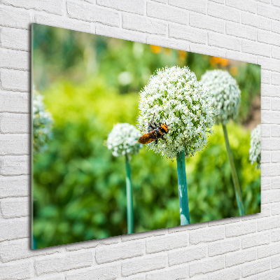 Quadro su vetro acrilico Uva in fiore