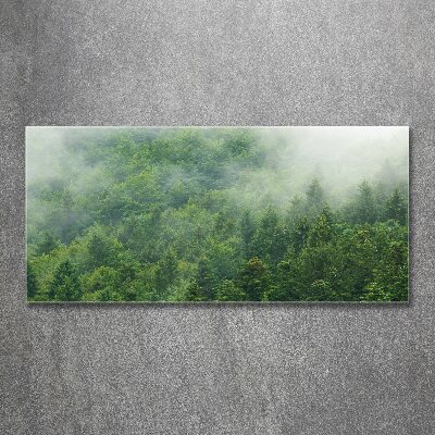 Quadro in vetro acrilico Foresta misteriosa