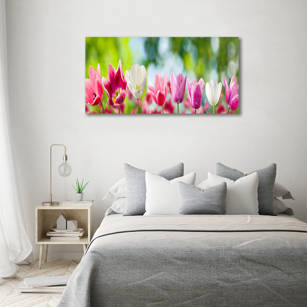 Quadro vetro acrilico Tulipani