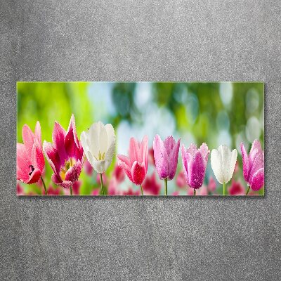 Quadro vetro acrilico Tulipani