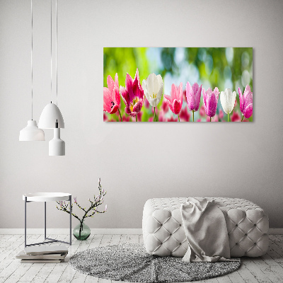 Quadro vetro acrilico Tulipani