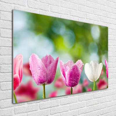Quadro vetro acrilico Tulipani