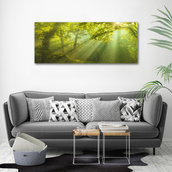 Quadro in vetro acrilico Foresta al sole