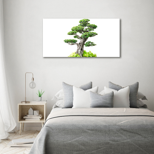 Quadro su vetro acrilico Albero bonsai