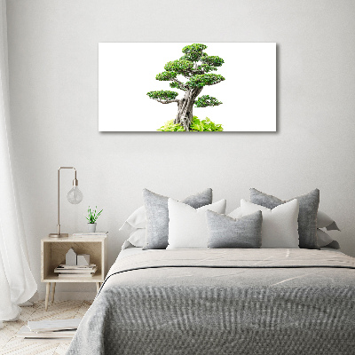Quadro su vetro acrilico Albero bonsai