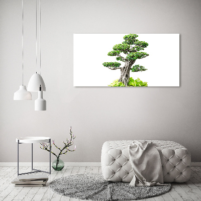 Quadro su vetro acrilico Albero bonsai