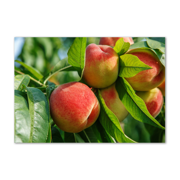 Quadro su vetro acrilico Pesche