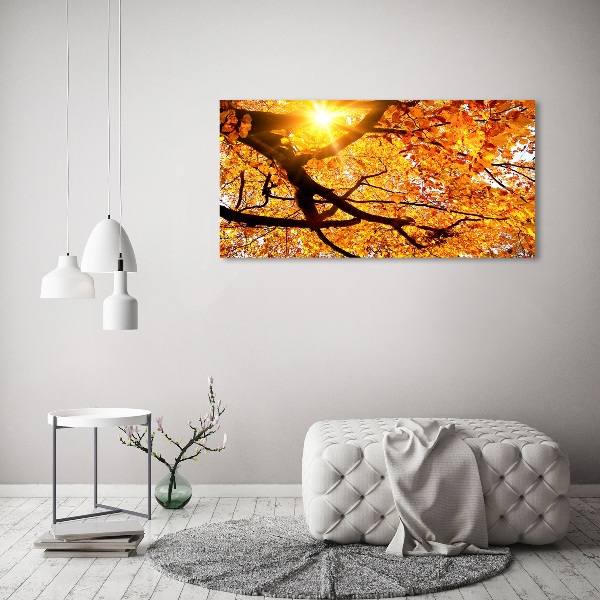 Quadro in vetro acrilico Chioma autunnale dell'albero