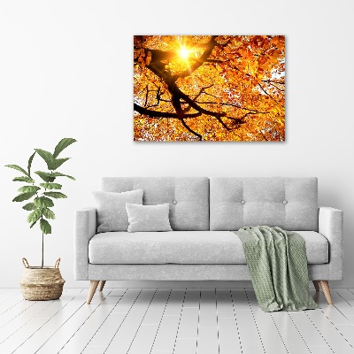 Quadro in vetro acrilico Chioma autunnale dell'albero