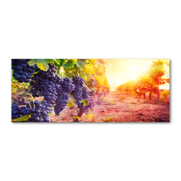 Quadro su vetro acrilico Viti