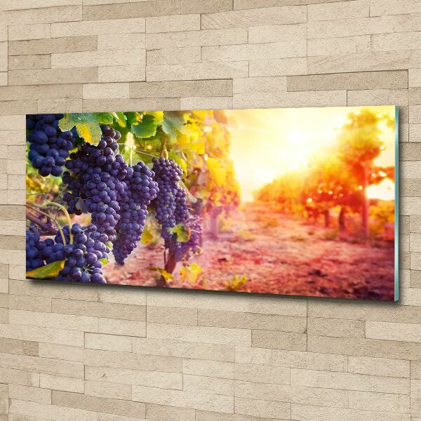 Quadro su vetro acrilico Viti