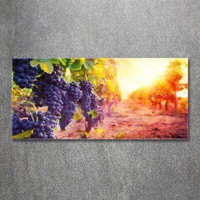 Quadro su vetro acrilico Viti