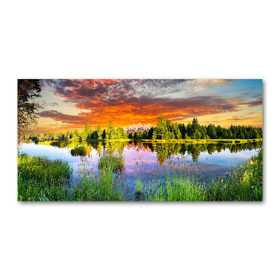 Quadro vetro acrilico Fiume nella foresta