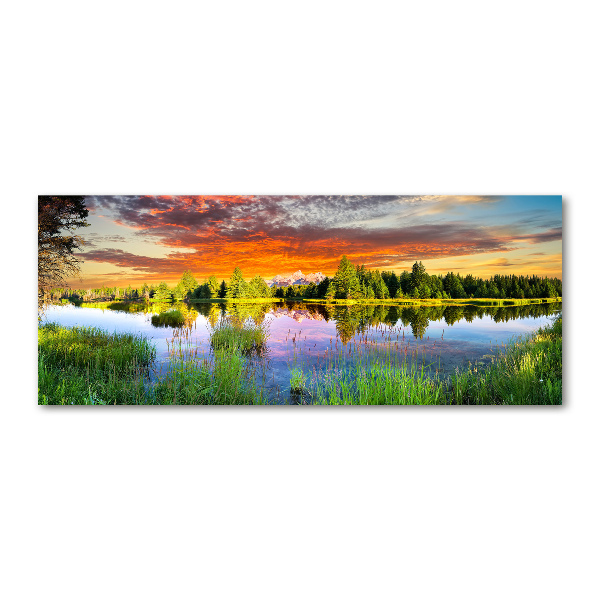 Quadro vetro acrilico Fiume nella foresta