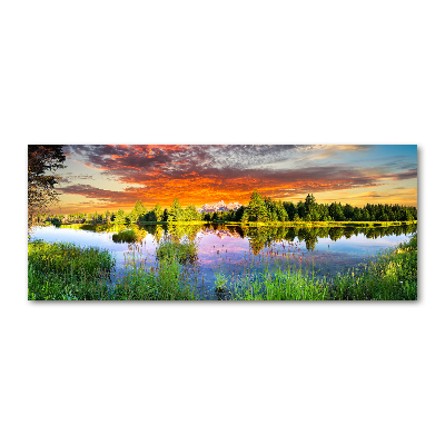 Quadro vetro acrilico Fiume nella foresta