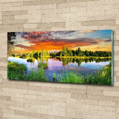 Quadro vetro acrilico Fiume nella foresta