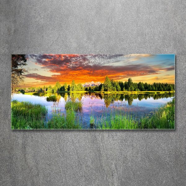 Quadro vetro acrilico Fiume nella foresta