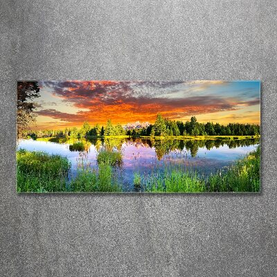 Quadro vetro acrilico Fiume nella foresta