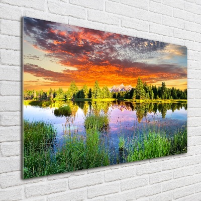 Quadro vetro acrilico Fiume nella foresta