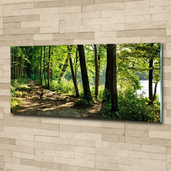 Quadro su vetro acrilico Sentiero nel prato