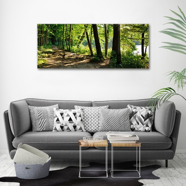 Quadro su vetro acrilico Sentiero nel prato