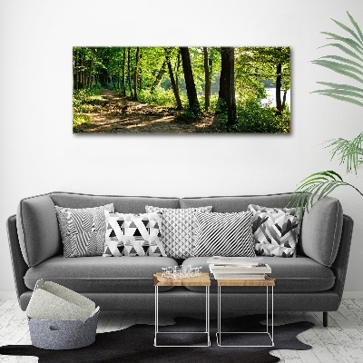 Quadro su vetro acrilico Sentiero nel prato