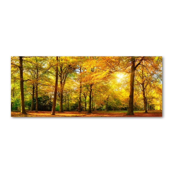 Quadro vetro acrilico Foresta in autunno