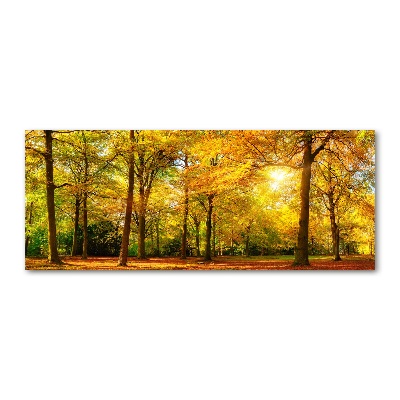 Quadro vetro acrilico Foresta in autunno