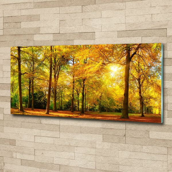 Quadro vetro acrilico Foresta in autunno