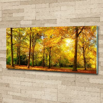 Quadro vetro acrilico Foresta in autunno