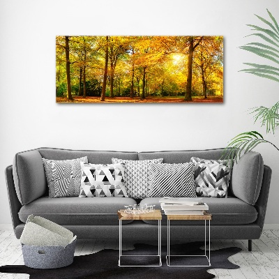 Quadro vetro acrilico Foresta in autunno