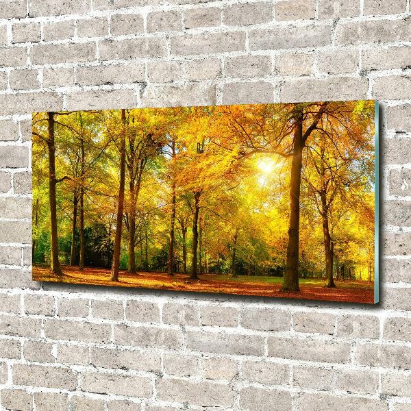 Quadro vetro acrilico Foresta in autunno