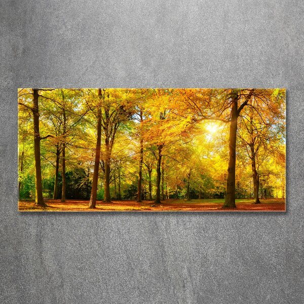 Quadro vetro acrilico Foresta in autunno