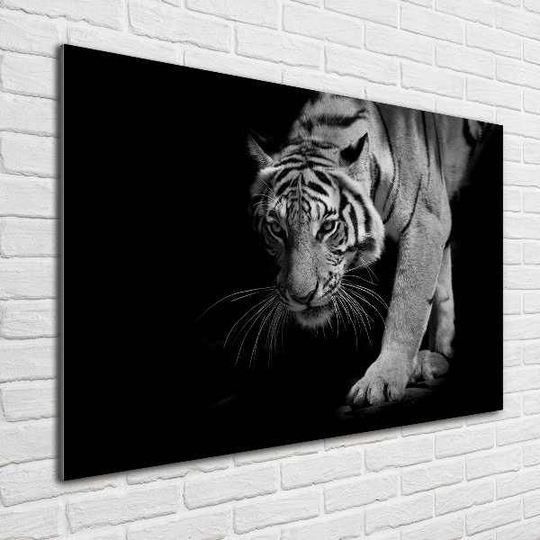 Quadro vetro acrilico Tigre