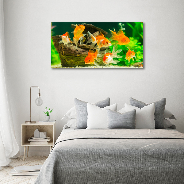 Quadro su vetro acrilico Pesce rosso