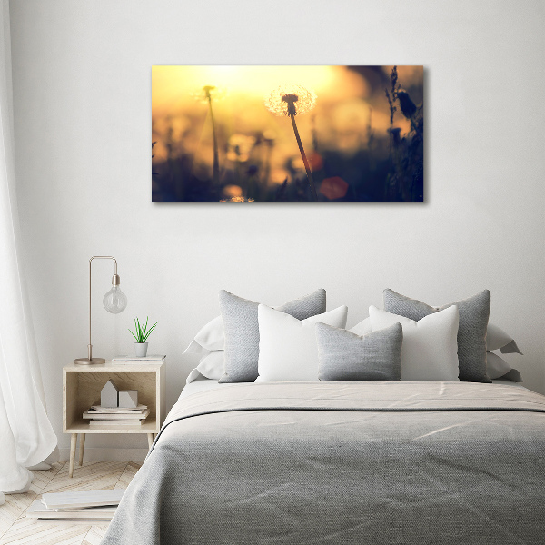 Quadro in vetro acrilico Dente di leone