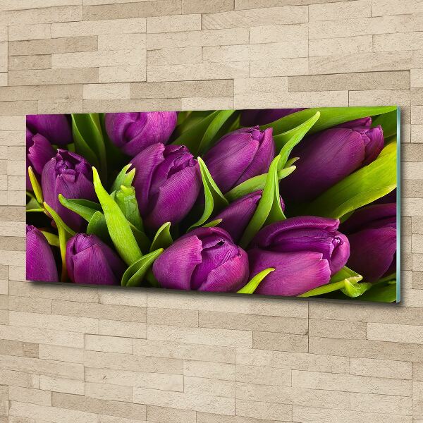 Quadro su vetro acrilico Tulipani viola