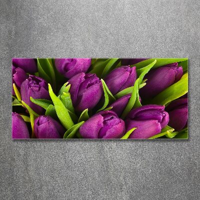 Quadro su vetro acrilico Tulipani viola