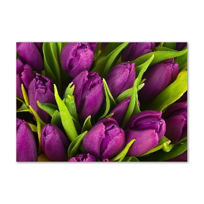 Quadro su vetro acrilico Tulipani viola