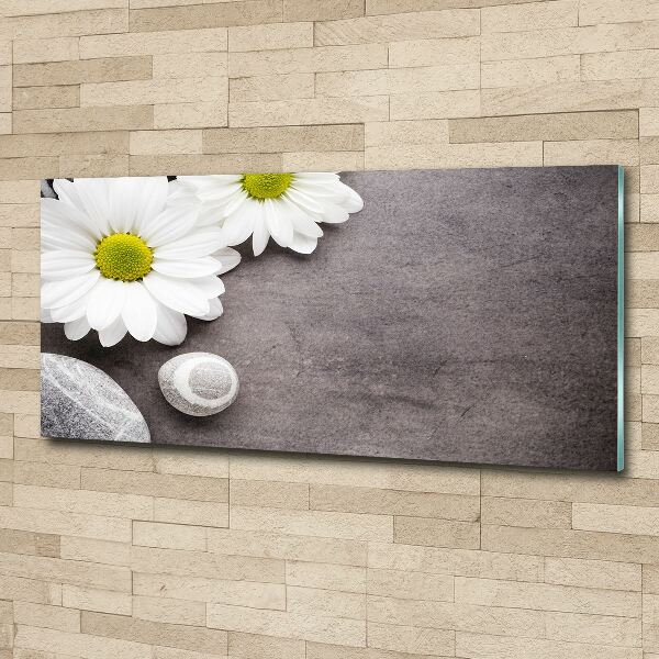 Quadro in vetro acrilico Gerbera