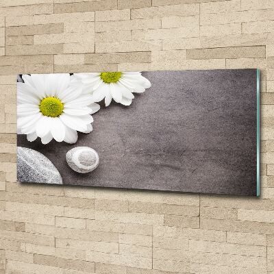 Quadro in vetro acrilico Gerbera