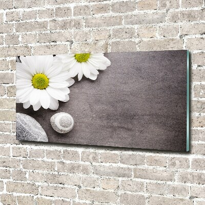 Quadro in vetro acrilico Gerbera