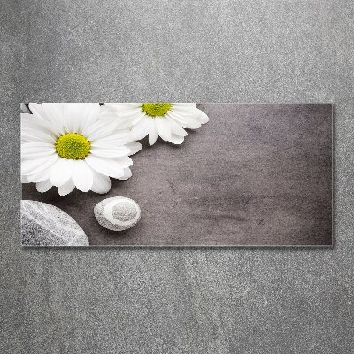 Quadro in vetro acrilico Gerbera
